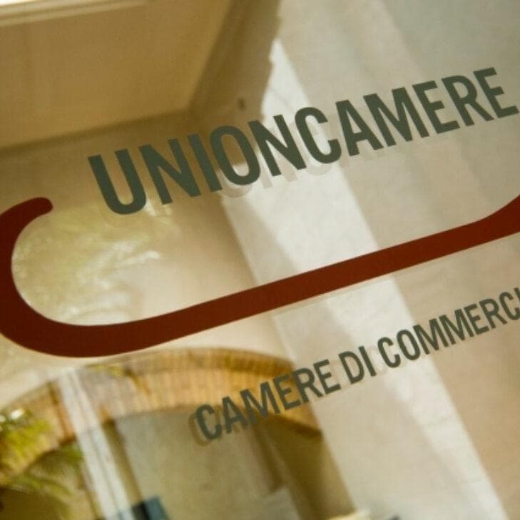Unioncamere Network and Institutional Collaboration