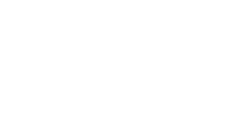 InfoCamere Logo - Italian Digital Innovation and LEI Issuer